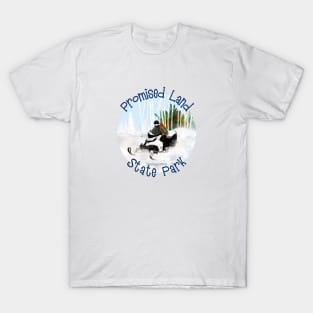 Promised Land State Park, Pennsylvania T-Shirt